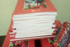 aIMG-20170419-WA0065